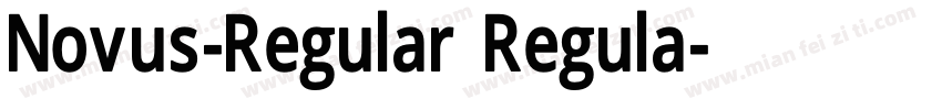 Novus-Regular Regula字体转换